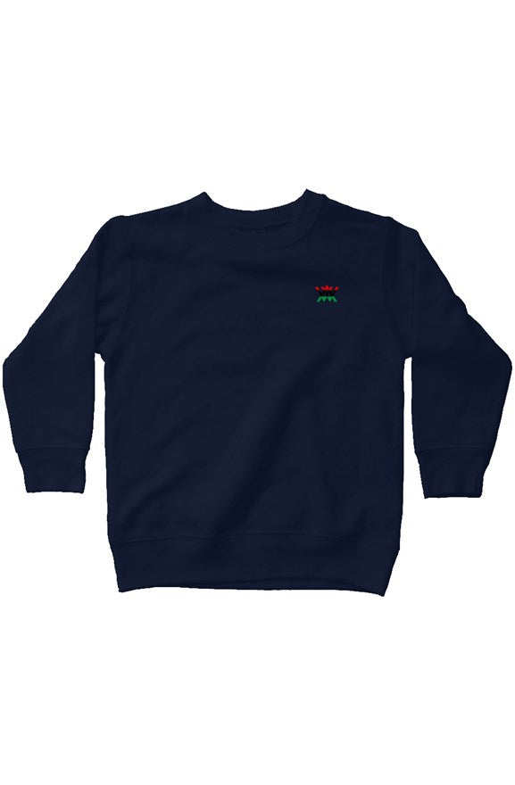kids fleece sweatshirt